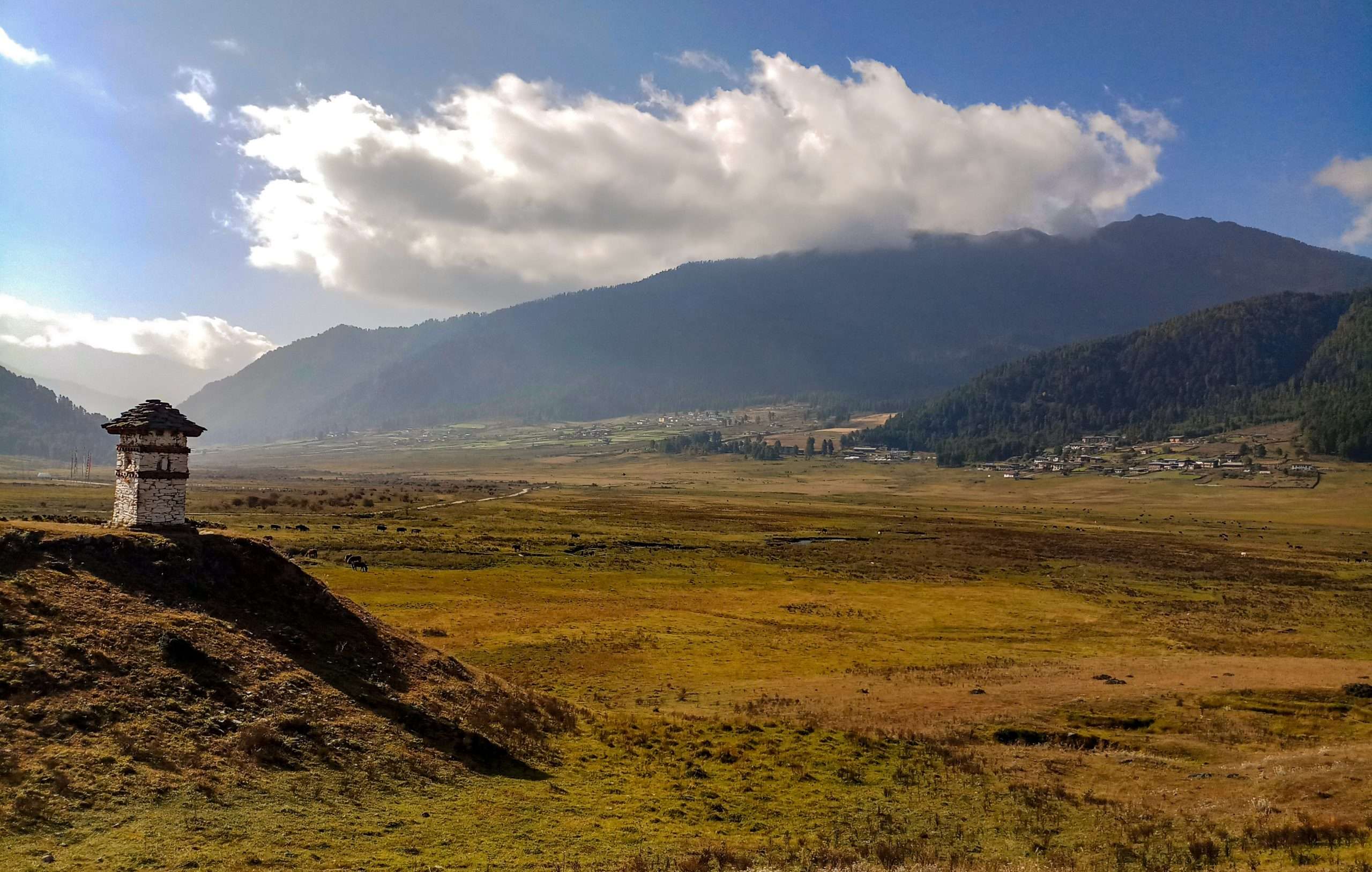 Phobjikha Valley