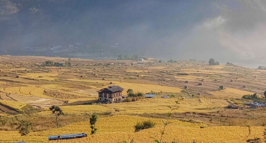 When Is the Best Time to Visit Bhutan? Find the Perfect Time for Your Himalayan Journey