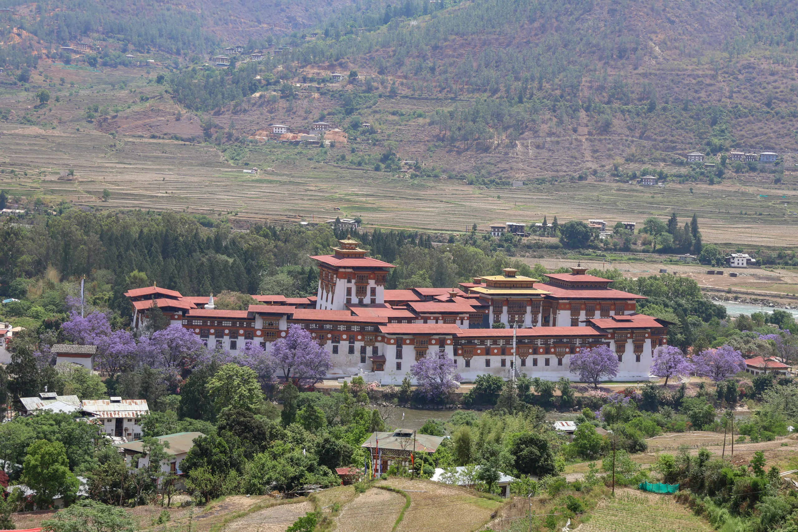 Punakha Dzong