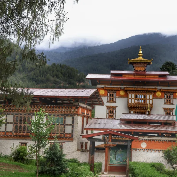 Pangrizampa Astrology