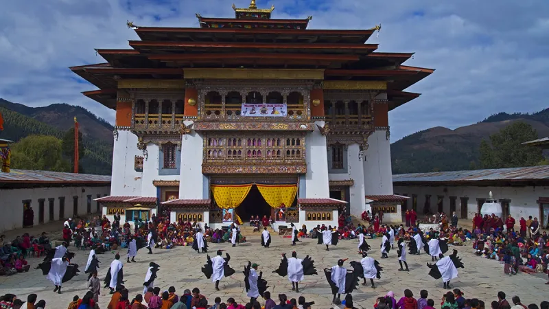 Black Necked Crane Festival