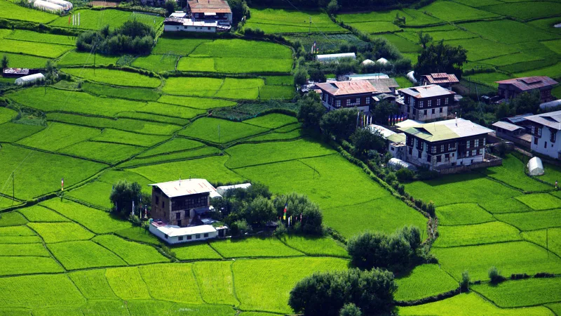 Bhutan Holiday Trip from the United Kingdom