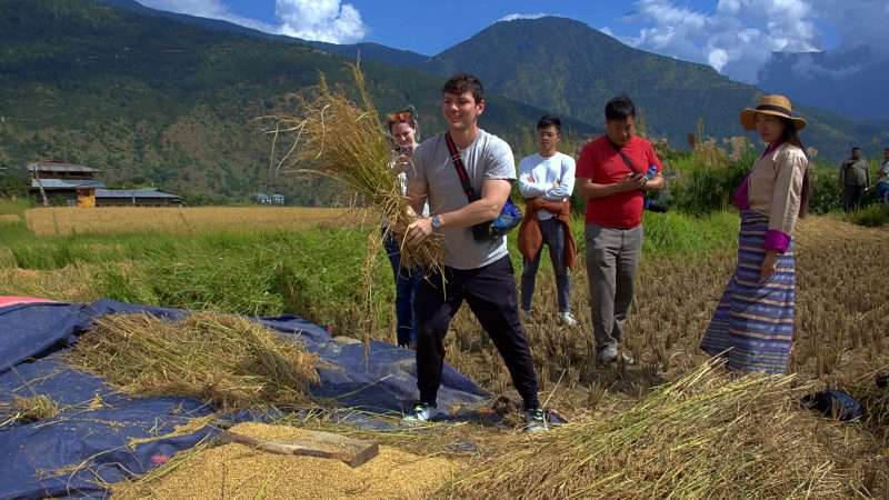 Beating the rice on the way to Chimmi Lhakhang