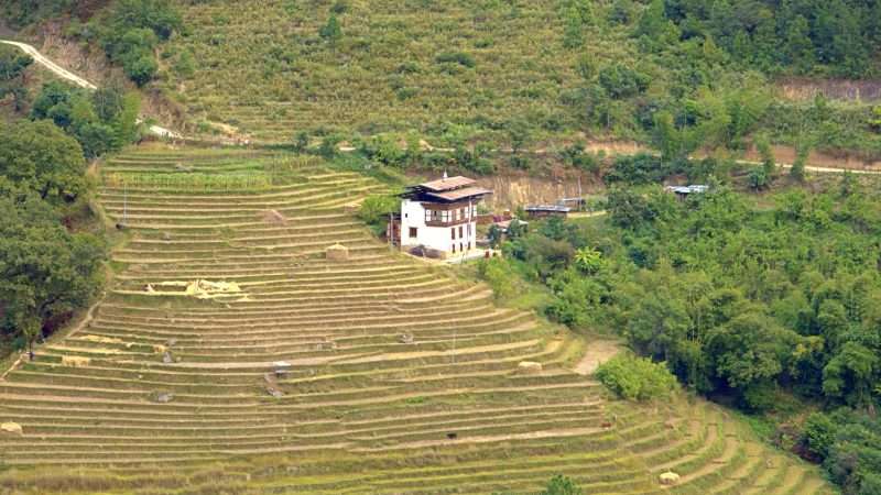 Journey Across Bhutan: The Ultimate East-West Itinerary