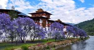 Punakha Dzong