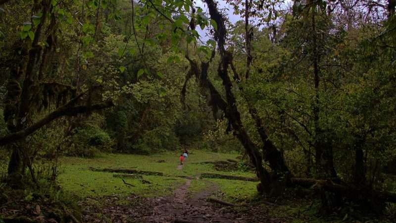 Path to Kabji Hoka Tsho