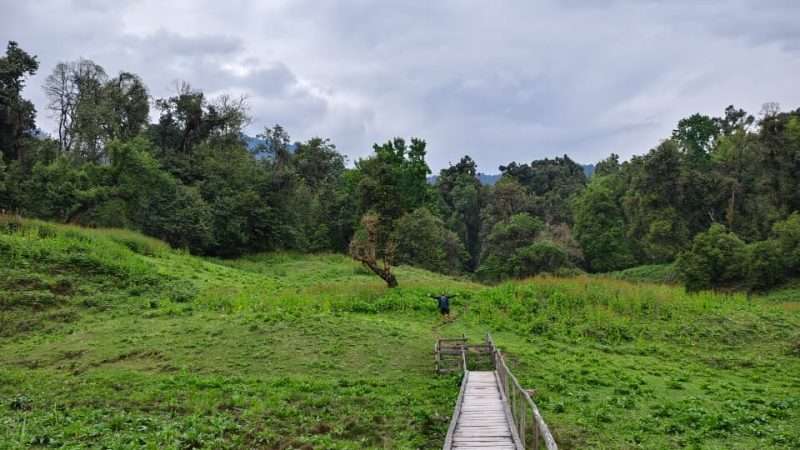 wide alpine meadow, where a charming wooden footbridge