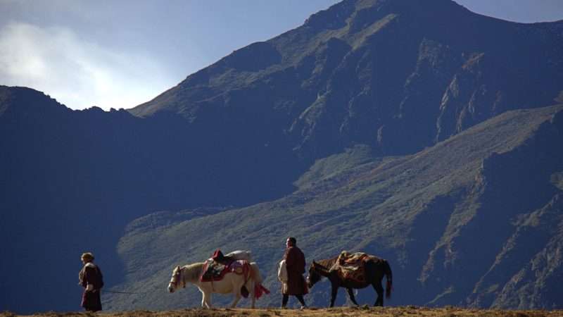 Laya-Gasa Trek