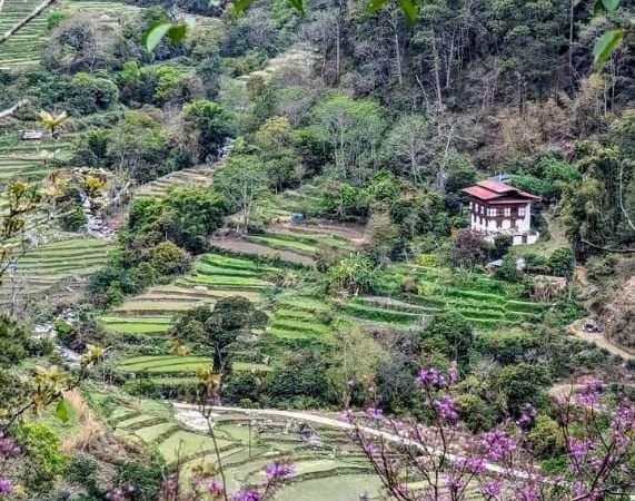 Trans Bhutan Trail & Cultural Discovery