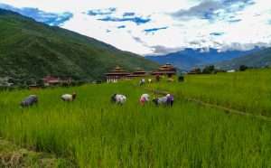 Bhutan in Monsoon Season: What Nobody Tells You