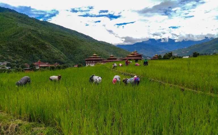 Bhutan in Monsoon Season: What Nobody Tells You