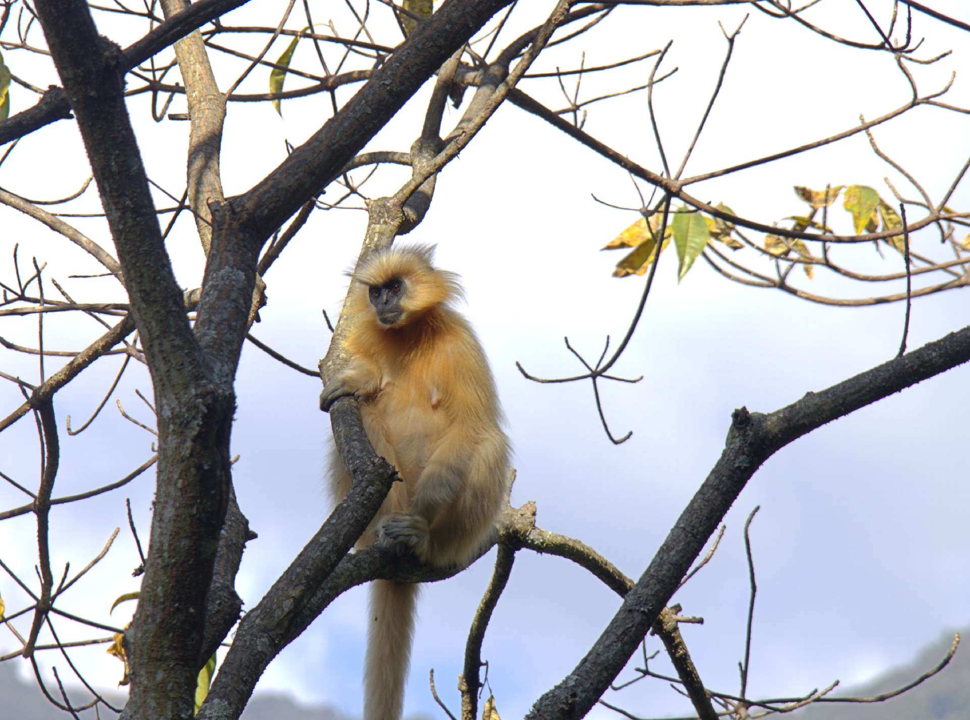 Nabji–Korphu Trek