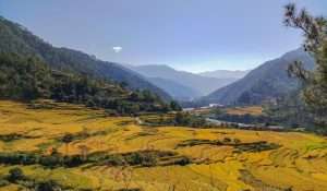 Visiting Bhutan in November: Everything You Need to Know