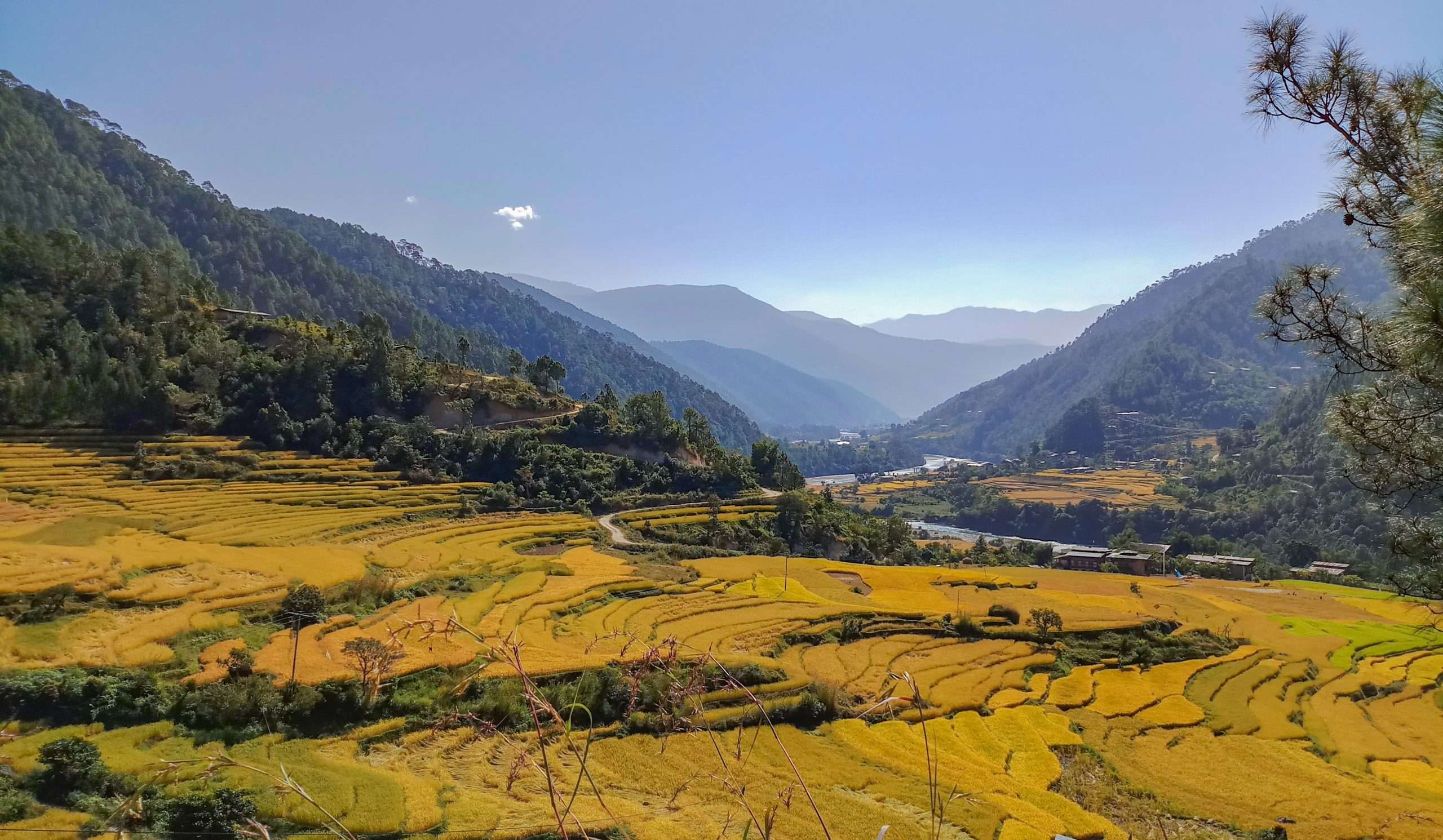 Visiting Bhutan in November: Everything You Need to Know