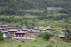 Planning a trip from Bangkok to Bhutan? Learn about direct flights, visa requirements, SDF fees, travel costs, the best time to visit, top destinations, and expert travel tips from a local Bhutan guide.