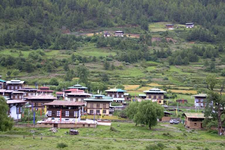 Planning a trip from Bangkok to Bhutan? Learn about direct flights, visa requirements, SDF fees, travel costs, the best time to visit, top destinations, and expert travel tips from a local Bhutan guide.
