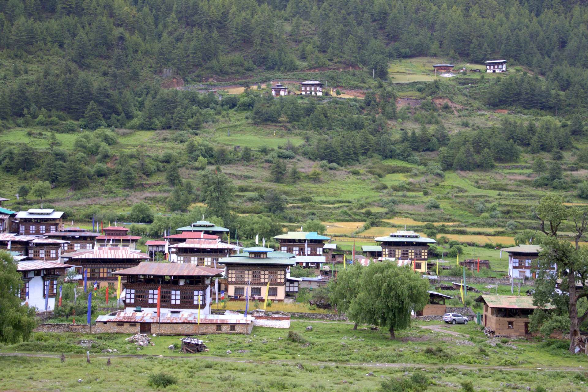 Planning a trip from Bangkok to Bhutan? Learn about direct flights, visa requirements, SDF fees, travel costs, the best time to visit, top destinations, and expert travel tips from a local Bhutan guide.
