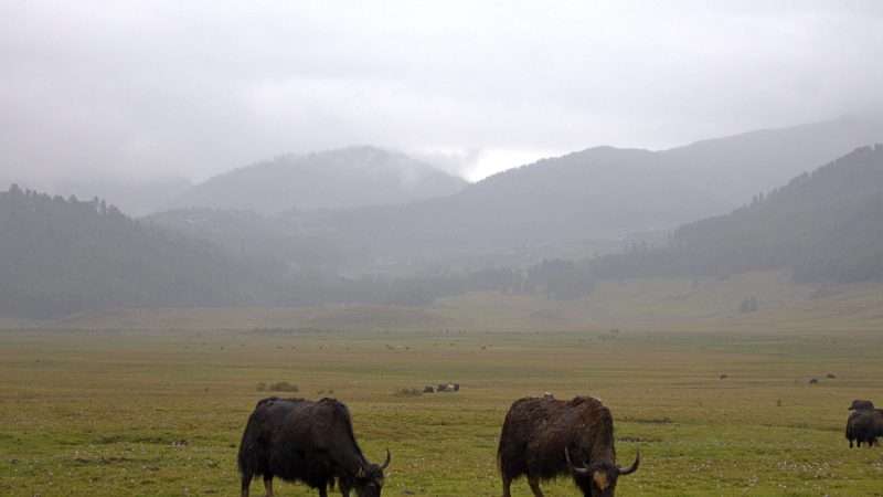 Nub Tshonapata Trek