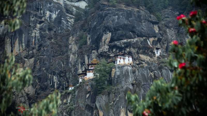 How Much Does It Cost to Visit Bhutan in 2026