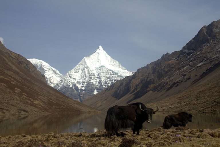 Trekking in Bhutan: A Guide to the Kingdom’s Most Scenic Hiking Routes