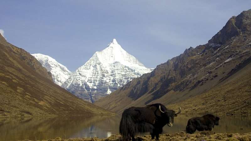 Jomolhari Trek